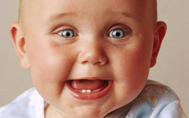 Car seat compatibility Car seat compatibility