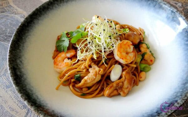 Spaghetti met Oosterse kip en garnalen