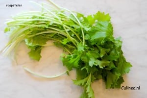 Vergeten groenten raapstelen (Copy)