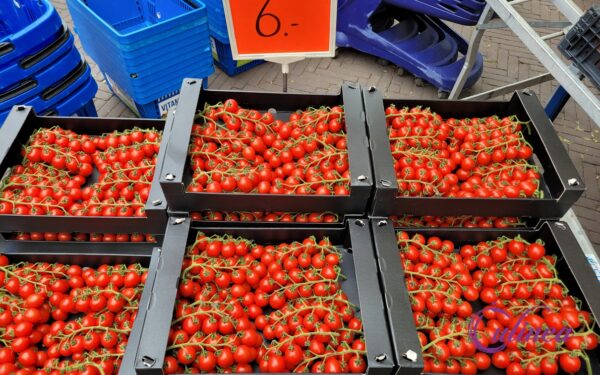 Zongedroogde tomaatjes uit de oven