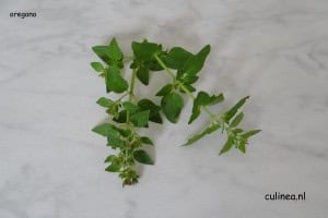 Verse kruiden...wat doe je ermee