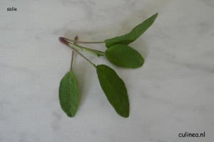 Verse kruiden...wat doe je ermee