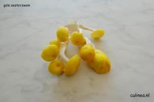 Zeg je herfst dan zeg je paddenstoelen