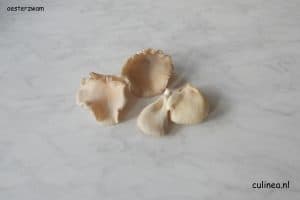 Zeg je herfst dan zeg je paddenstoelen