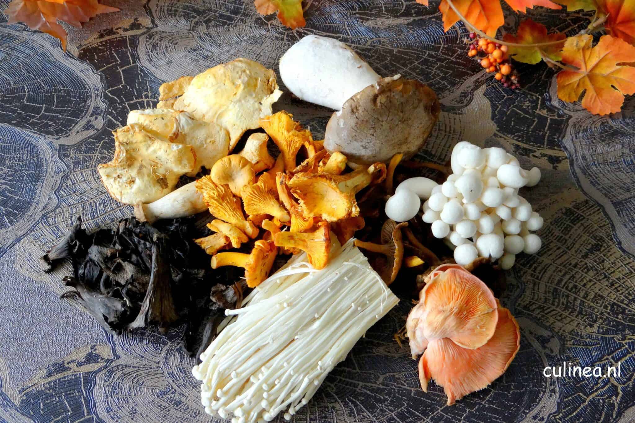 Zeg je herfst dan zeg je paddenstoelen