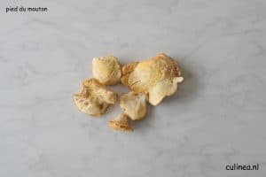 Zeg je herfst dan zeg je paddenstoelen