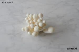 Zeg je herfst dan zeg je paddenstoelen