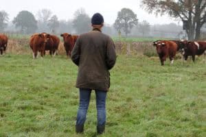 De boer op in Twente