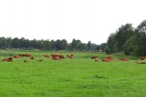 De boer op in Twente