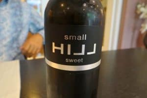 De Rozenstruik in Ootmarsum