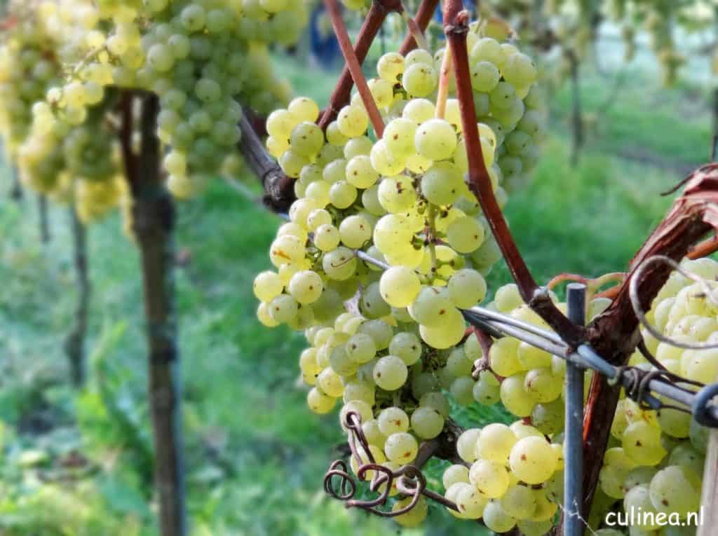 Rosé bubbels uit Zeewolde