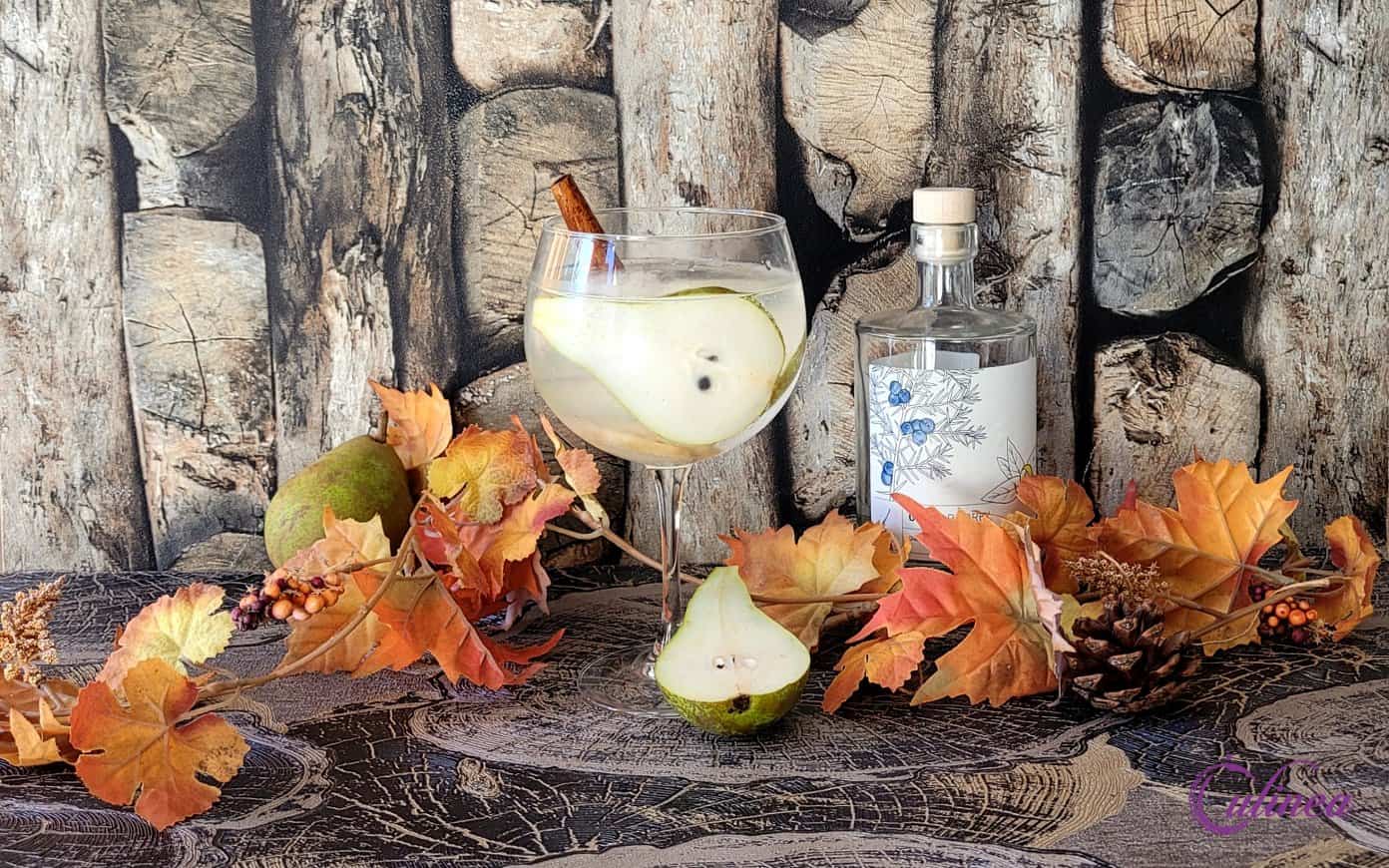 Gin & Tonic met peer, gember en kaneel