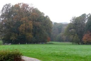 Landgoed De Wilmersberg