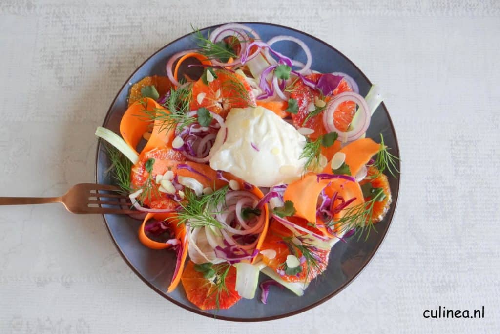 Salade rode kool, wortel, venkel, bloedsinaasappel en burrata
