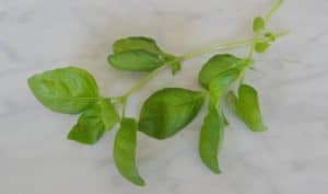 Welke kruiden kan je gebruiken bij welke kwalen?