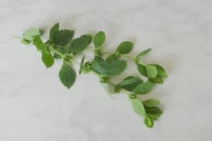 Welke kruiden kan je gebruiken bij welke kwalen?