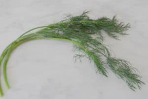 Welke kruiden kan je gebruiken bij welke kwalen?