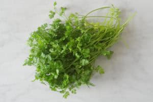 Welke kruiden kan je gebruiken bij welke kwalen?