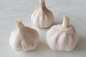 Welke kruiden kan je gebruiken bij welke kwalen?