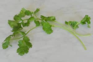 Welke kruiden kan je gebruiken bij welke kwalen?