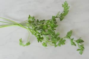 Welke kruiden kan je gebruiken bij welke kwalen?