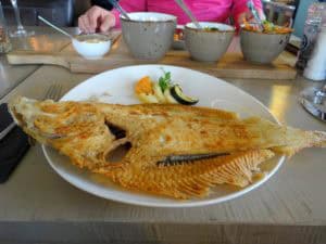 Genieten aan het water bij Restaurant Pier16 in Nagele