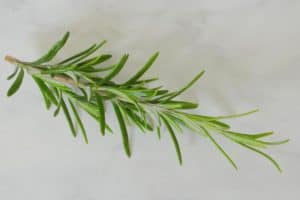 Welke kruiden kan je gebruiken bij welke kwalen?