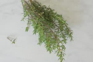 Welke kruiden kan je gebruiken bij welke kwalen?