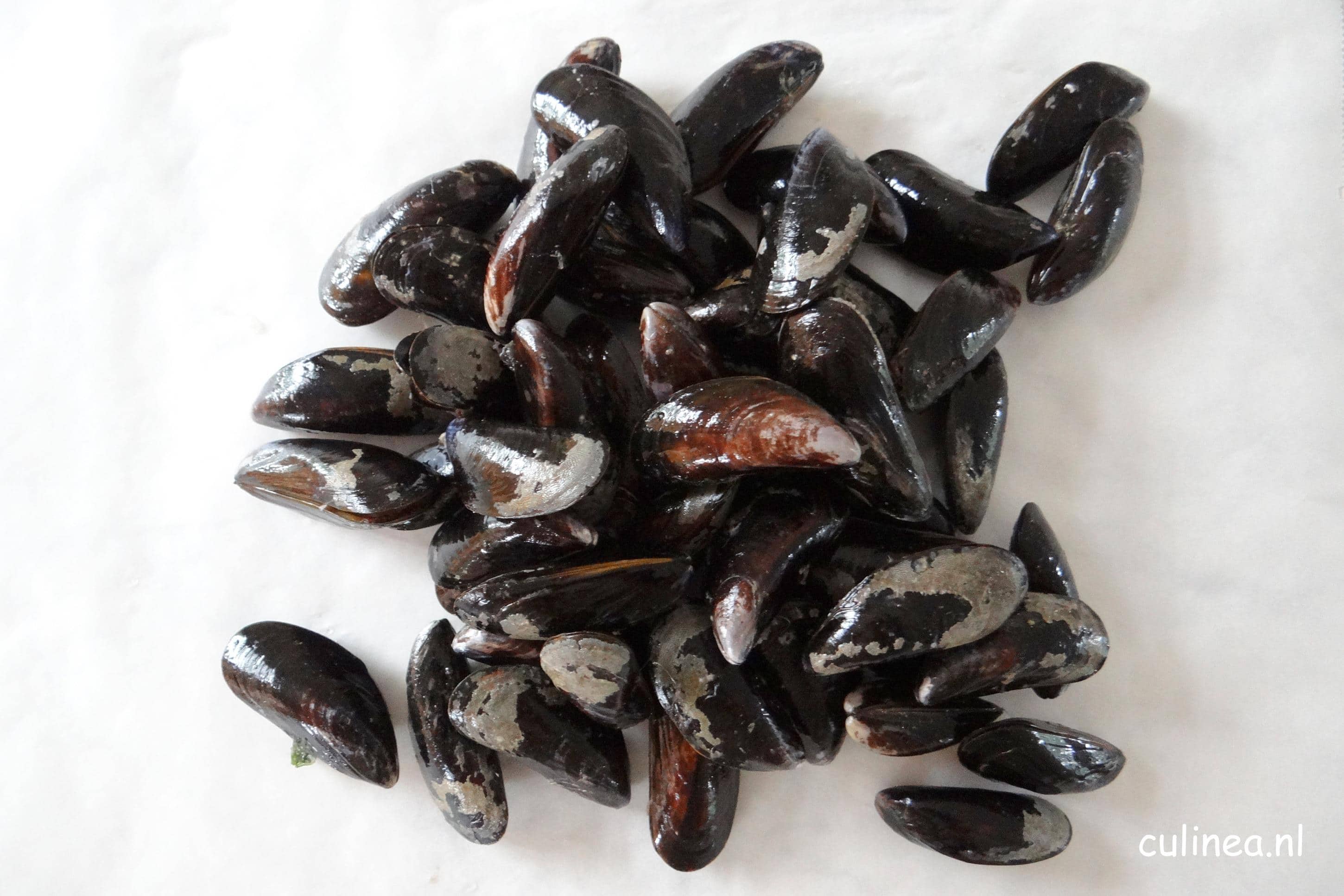 Schoongemaakte mosselen