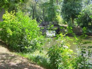 Op ontdekkingstocht door het mooie Denekamp