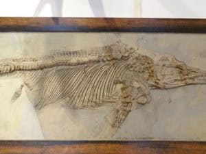 Op ontdekkingstocht door het mooie Denekamp