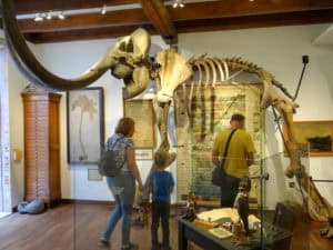 Op ontdekkingstocht door het mooie Denekamp