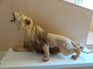 Op ontdekkingstocht door het mooie Denekamp