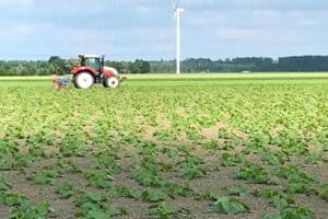 Biologische pompoenen en eieren uit Zeewolde