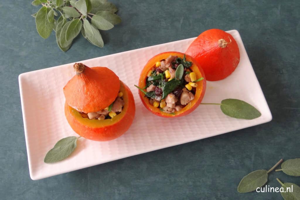 Gevulde mini pompoentjes met kalkoen