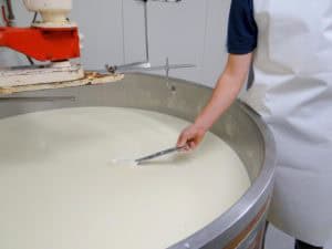 Op bezoek bij een kaasboerderij