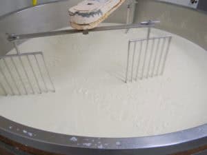 Op bezoek bij een kaasboerderij