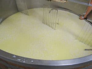 Op bezoek bij een kaasboerderij