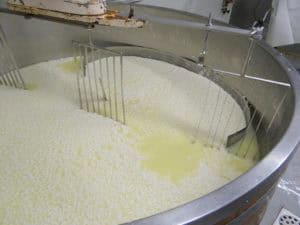 Op bezoek bij een kaasboerderij