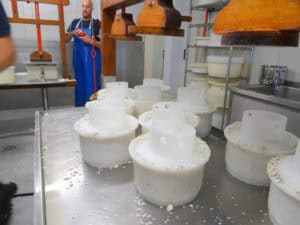 Op bezoek bij een kaasboerderij