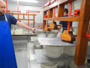 Op bezoek bij een kaasboerderij