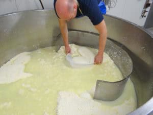 Op bezoek bij een kaasboerderij