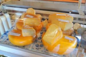 Op bezoek bij een kaasboerderij