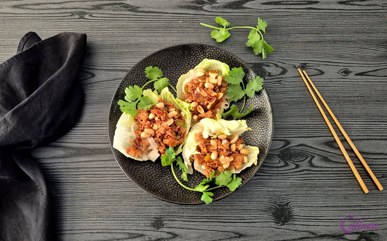 Slawrap met pittig gekruid kipgehakt