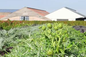 Vol lof over Warmonderhof