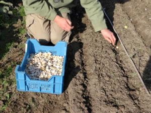 Vol lof over Warmonderhof