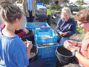 Vol lof over Warmonderhof