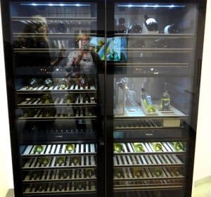 Wat is de ideale temperatuur voor welke wijn