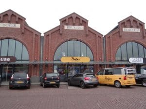 Pijlinktvis uit de Noordzee