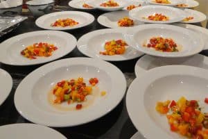 Pijlinktvis uit de Noordzee